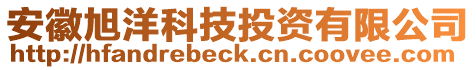 安徽旭洋科技投資有限公司