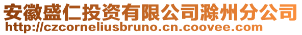 安徽盛仁投資有限公司滁州分公司