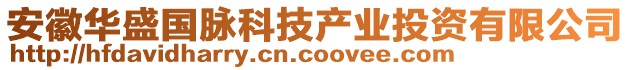 安徽華盛國脈科技產(chǎn)業(yè)投資有限公司