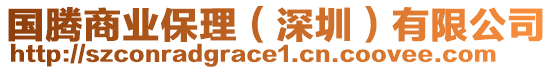 國騰商業保理(深圳)有限公司