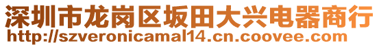 深圳市龍崗區(qū)坂田大興電器商行