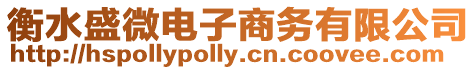 衡水盛微電子商務(wù)有限公司