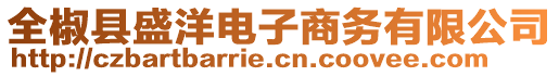 全椒縣盛洋電子商務有限公司