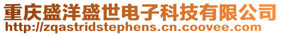 重慶盛洋盛世電子科技有限公司