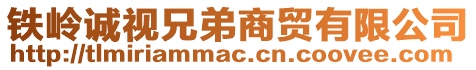 鐵嶺誠視兄弟商貿(mào)有限公司