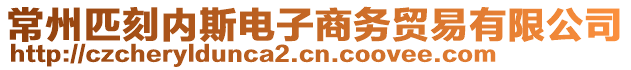 常州匹刻內(nèi)斯電子商務(wù)貿(mào)易有限公司