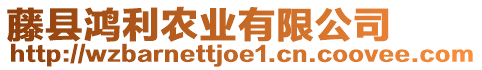 藤縣鴻利農(nóng)業(yè)有限公司