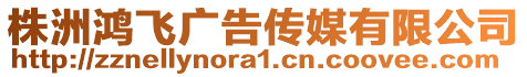 株洲鸿飞广告传媒有限公司