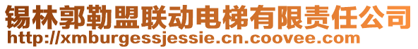 錫林郭勒盟聯(lián)動電梯有限責任公司