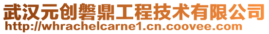 武漢元?jiǎng)?chuàng)磐鼎工程技術(shù)有限公司
