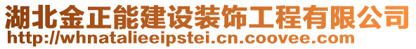 湖北金正能建設(shè)裝飾工程有限公司