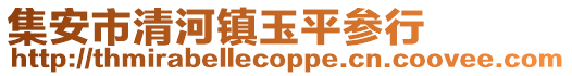 集安市清河鎮(zhèn)玉平參行