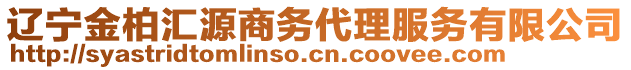 遼寧金柏匯源商務(wù)代理服務(wù)有限公司