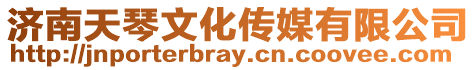 濟南天琴文化傳媒有限公司