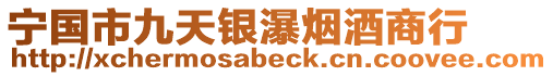 寧國(guó)市九天銀瀑煙酒商行