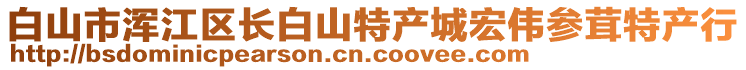 白山市渾江區(qū)長白山特產(chǎn)城宏偉參茸特產(chǎn)行