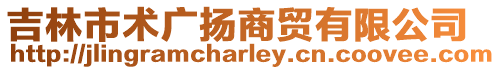 吉林市術廣揚商貿有限公司