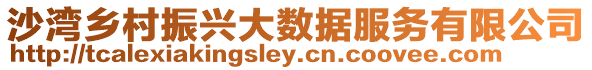 沙灣鄉(xiāng)村振興大數(shù)據(jù)服務(wù)有限公司