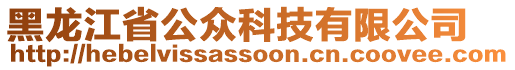 黑龍江省公眾科技有限公司