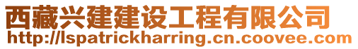 西藏興建建設(shè)工程有限公司