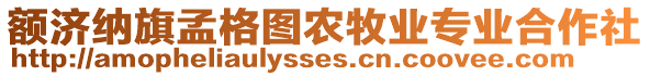 額濟(jì)納旗孟格圖農(nóng)牧業(yè)專業(yè)合作社