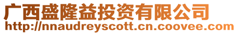 廣西盛隆益投資有限公司