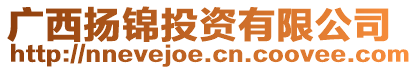 廣西揚錦投資有限公司