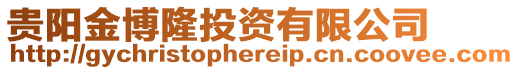 貴陽金博隆投資有限公司