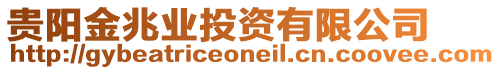 貴陽金兆業(yè)投資有限公司