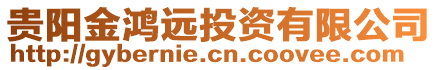 貴陽(yáng)金鴻遠(yuǎn)投資有限公司