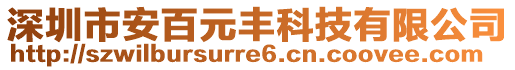 深圳市安百元豐科技有限公司