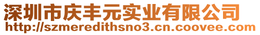 深圳市慶豐元實業有限公司