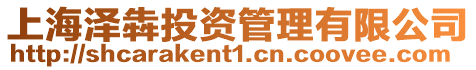上海澤犇投資管理有限公司