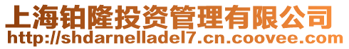 上海鉑隆投資管理有限公司