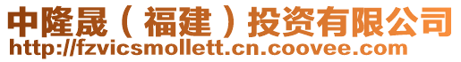 中隆晟(福建)投資有限公司