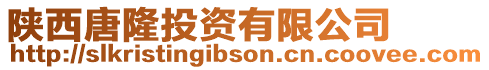 陜西唐隆投資有限公司