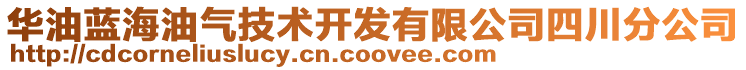 華油藍海油氣技術(shù)開發(fā)有限公司四川分公司