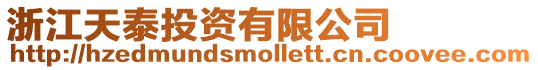 浙江天泰投資有限公司