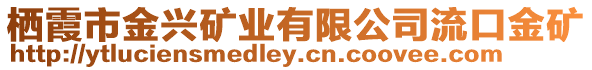 棲霞市金興礦業(yè)有限公司流口金礦