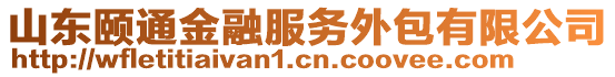 山東頤通金融服務(wù)外包有限公司