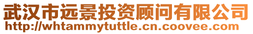 武漢市遠景投資顧問有限公司