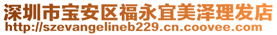 深圳市寶安區(qū)福永宜美澤理發(fā)店