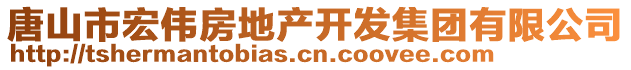 唐山市宏偉房地產(chǎn)開(kāi)發(fā)集團(tuán)有限公司