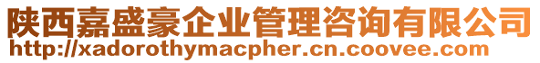 陜西嘉盛豪企業(yè)管理咨詢有限公司