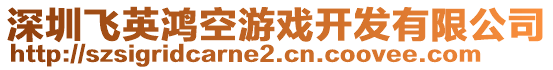 深圳飛英鴻空游戲開發(fā)有限公司