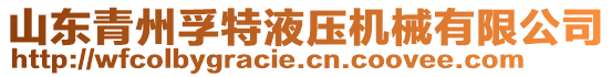 山東青州孚特液壓機械有限公司