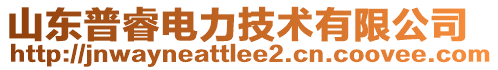 山东普睿电力技术有限公司