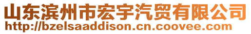 山東濱州市宏宇汽貿(mào)有限公司