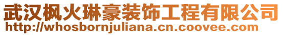 武漢楓火琳豪裝飾工程有限公司