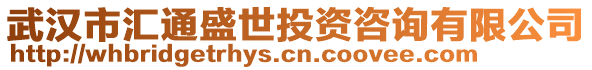 武漢市匯通盛世投資咨詢有限公司